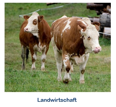 Landwirtschaft-K